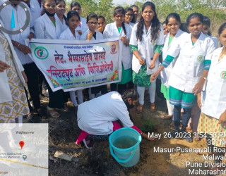 Tree Plantation Drive 