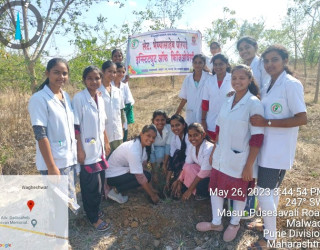 Tree Plantation Drive 